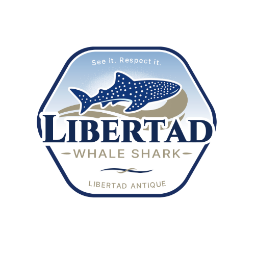 Libertad Whale Shark